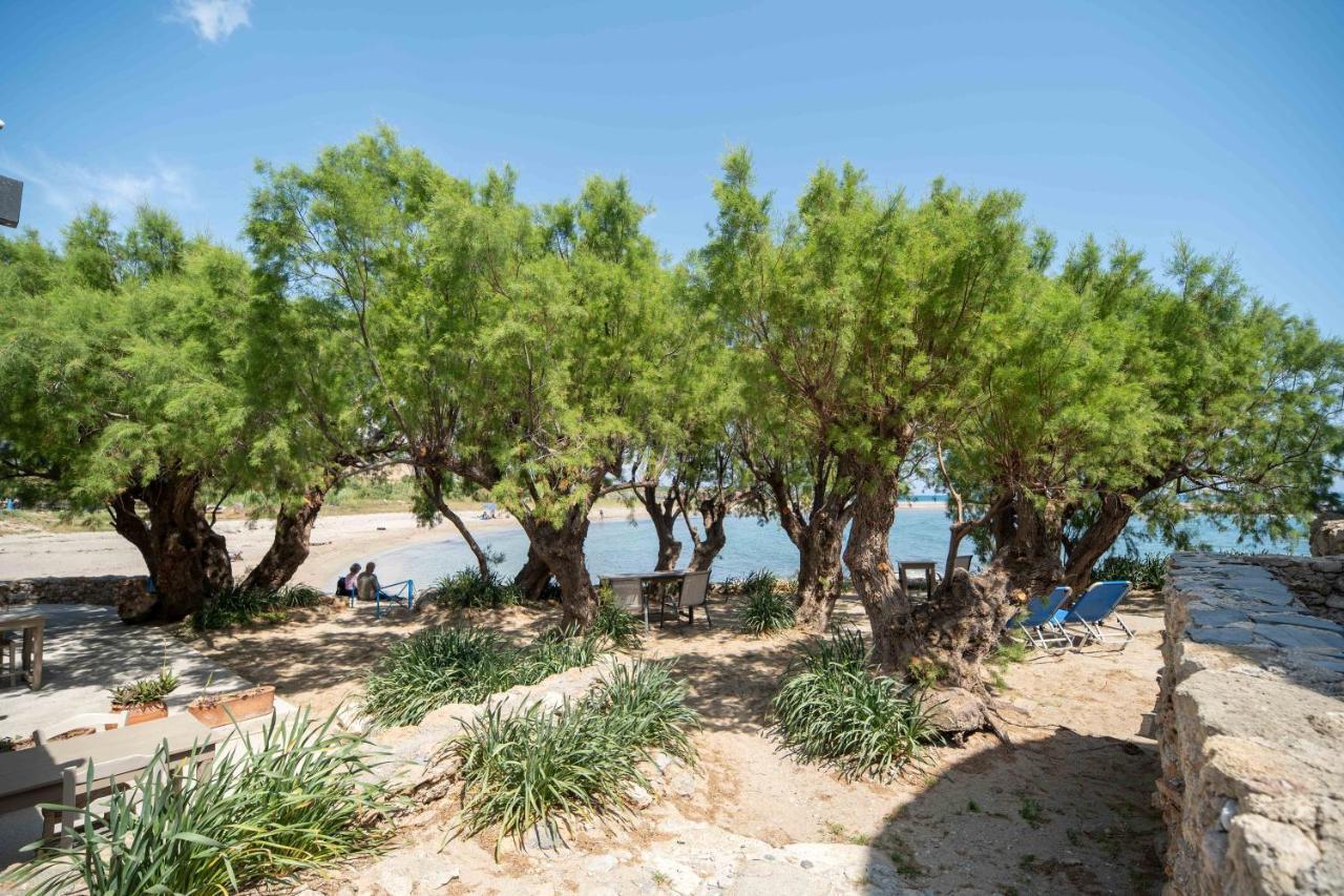Mylos Seaside Experience Frangocastelo Exterior photo